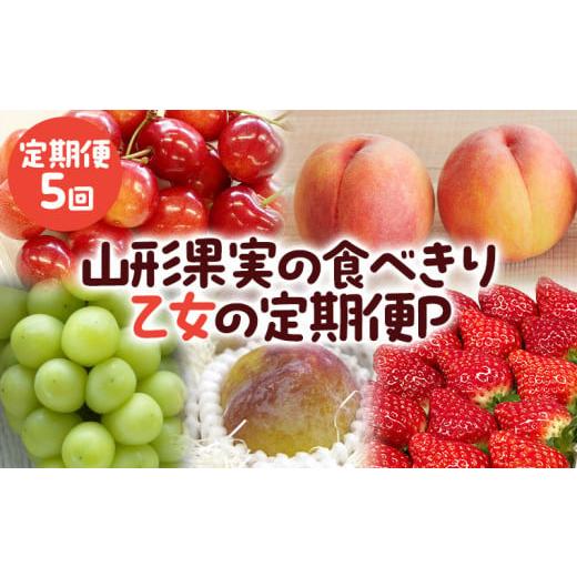 ふるさと納税 果物類 さくらんぼ 山形県 山形市 定期便5回 山形果実の食べきり 乙女の定期便P 令和8年産先行予約 FS25-658 くだもの 果物 フルーツ 山形 山形…