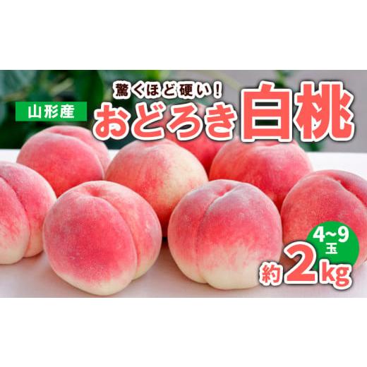 ふるさと納税 もも 山形県 山形市 山形産 おどろき 白桃 秀 約2kg(4〜9玉) 令和8年産先行予約 FS23-780 くだもの 果物 フルーツ 山形 山形県 山形市 2026年産