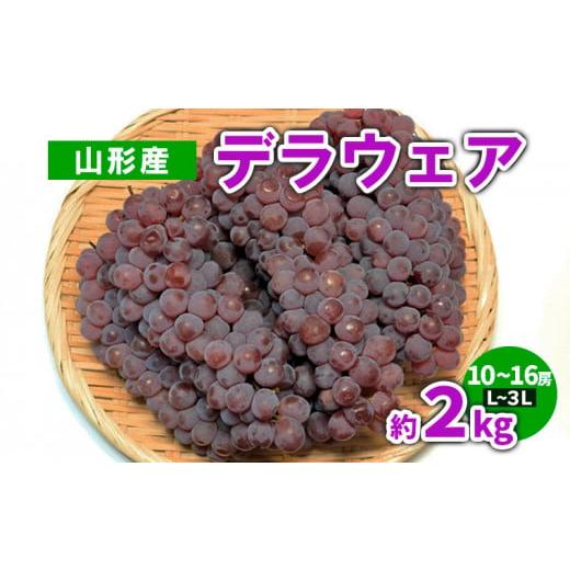 ふるさと納税 ぶどう 山形県 山形市 山形産 デラウェア 約2kg(10〜16房) L〜3L 令和8年産先行予約 FS23-782 くだもの 果物 フルーツ 山形 山形県 山形市 2026…