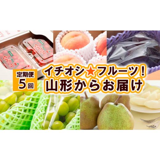ふるさと納税 果物類 さくらんぼ 山形県 山形市 定期便5回 イチオシ フルーツ 山形からお届け 令和8年産先行予約 FS25-613 くだもの 果物 フルーツ 山形 山形…