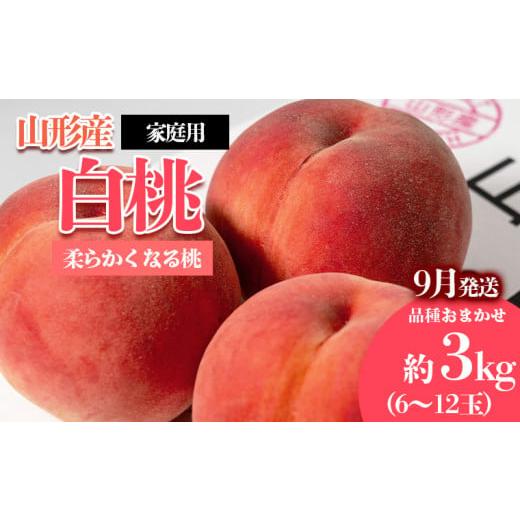 ふるさと納税 もも 山形県 山形市  ご家庭用 やまがたの桃 (白桃) 品種お任せ「柔らかくなる桃」9月 優品 約3kg(6〜12玉程度) 令和8年産先行予約 FS23-812 く…の画像
