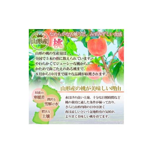 ふるさと納税 もも 山形県 山形市  ご家庭用 やまがたの桃 (白桃) 品種お任せ「柔らかくなる桃」9月 優品 約3kg(6〜12玉程度) 令和8年産先行予約 FS23-812 く…の画像