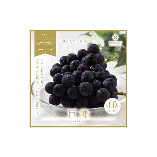 ふるさと納税 ぶどう 巨峰 山梨県 南アルプス市 2026年発送分先行予約 南アルプス市産 旬の採れたて巨峰 2〜3房入り 約1kg AL