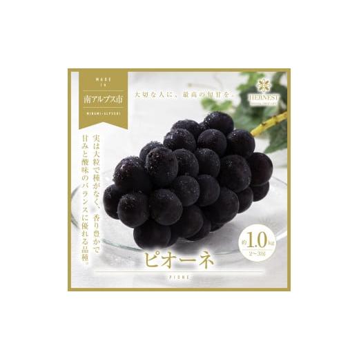 ふるさと納税 果物類 ぶどう 山梨県 南アルプス市 2026年発送分先行予約 南アルプス市産 旬の採れたてピオーネ 2〜3房入り 約1kg AL