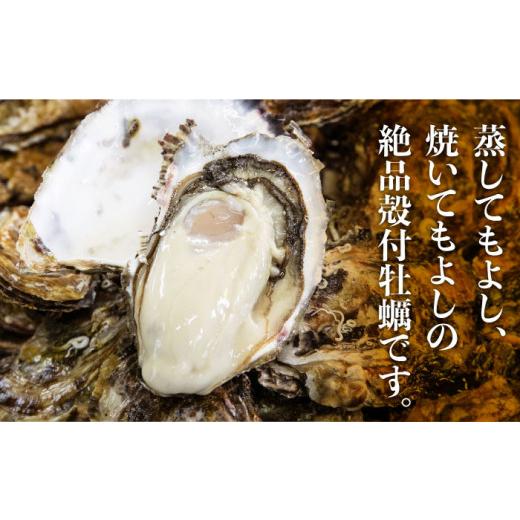 ふるさと納税 牡蠣 広島県 江田島市 広島G7で提供された牡蠣 全3回定期便 やながわ自慢 殻付き 牡蠣 16個(瞬間冷凍) 牡蠣 かき カキ 殻つき 瀬戸内 広島 マル…