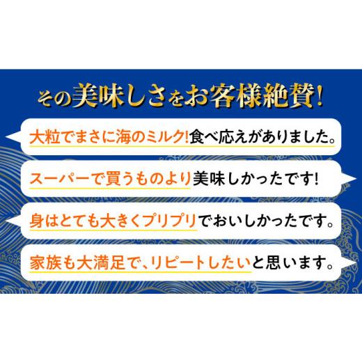 ふるさと納税 牡蠣 広島県 江田島市 広島G7で提供された牡蠣 全3回定期便 やながわ自慢 殻付き 牡蠣 16個(瞬間冷凍) 牡蠣 かき カキ 殻つき 瀬戸内 広島 マル…