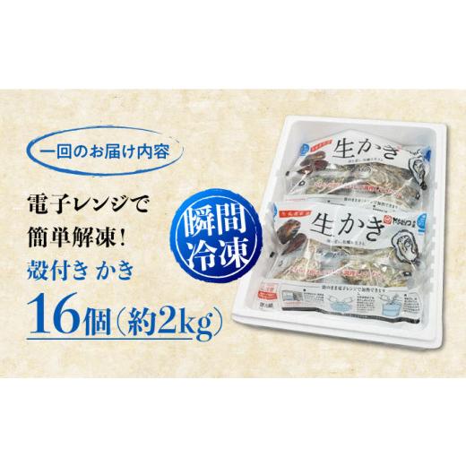ふるさと納税 牡蠣 広島県 江田島市 広島G7で提供された牡蠣 全3回定期便 やながわ自慢 殻付き 牡蠣 16個(瞬間冷凍) 牡蠣 かき カキ 殻つき 瀬戸内 広島 マル…