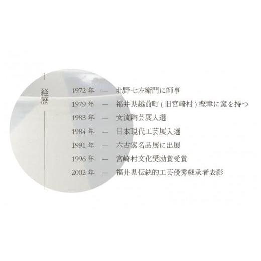 ふるさと納税 食器・グラス マグカップ 福井県 越前町  e25-a082 越前焼 手付フリーカップ 掛け分け あかね陶房 コップ コーヒーカップ ティーカップ スープカ…の画像