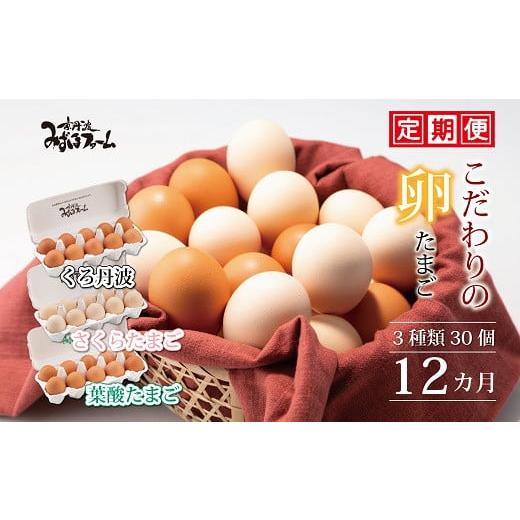 ふるさと納税 京都府 京丹波町 【12カ月定期便】【2024年8月発送開始】たまご30個セット こだわり卵3種たまごの定期便 【 卵 定期便 たまご 新鮮卵 たまごセッ…｜furusatochoice｜02