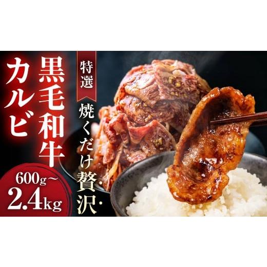 ふるさと納税 牛肉 焼肉・バーベキュー 岐阜県 大垣市 ＼焼くだけ贅沢/特選黒毛和牛カルビ 冷凍 600g 小分け 個包装 選べる 300g × パック数 冷凍 カルビ 和…