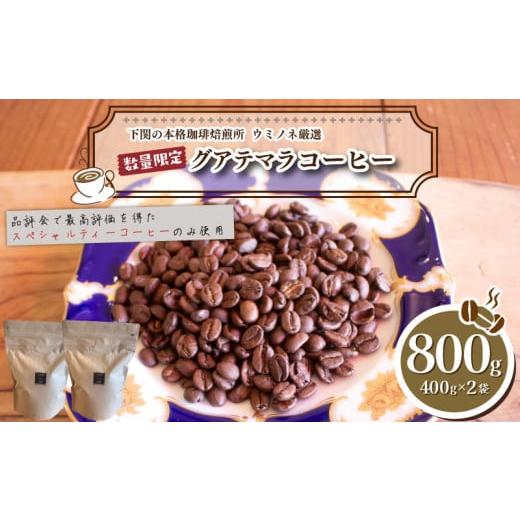 ふるさと納税 コーヒー コーヒー粉 山口県 下関市 中煎り 訳あり コーヒー粉 800g ( 400g × 2袋 ) 数量限定 ハンドドリップ グアテマラ 珈琲 下関 山口 中煎…