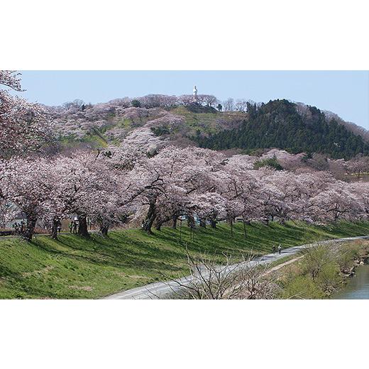 ふるさと納税 宮城県 柴田町 一目千本桜燻製ベーコン＆ソーセージダブルセット　【04323-0251】｜furusatochoice｜09