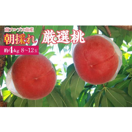 ふるさと納税 もも 山梨県 南アルプス市 2026年発送先行予約 厳選 南アルプス市産 朝採れ桃 約4kg(8〜12玉) AL