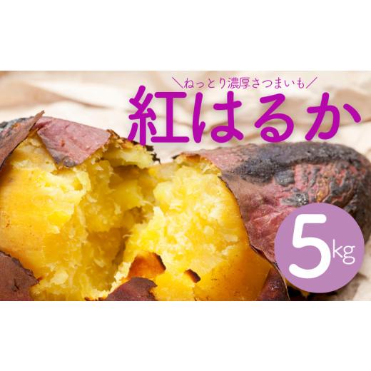 ふるさと納税 野菜類 サツマイモ 千葉県 酒々井町 千葉県産 甘〜い サツマイモ 紅はるか 5kg さつまいも べにはるか 薩摩芋 熟成 [岩澤さんの さつまいも ] …