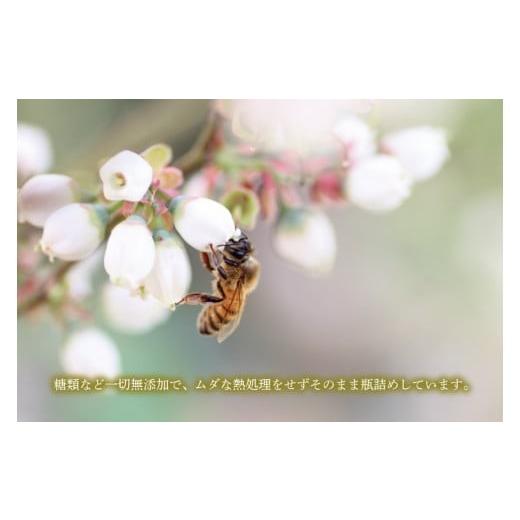 ふるさと納税 加工品等 はちみつ 茨城県 水戸市  数量限定 季節で移ろう田舎はちみつボトル3種セット 各280g（ピタッとボトルB3） 茨城県共通返礼品／五霞町 …の画像