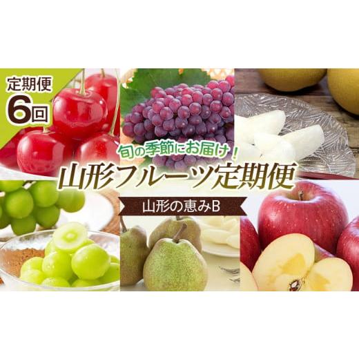 ふるさと納税 果物類 さくらんぼ 山形県 山形市 定期便6回 山形の恵みB 令和8年産先行予約 FS25-645 くだもの 果物 フルーツ 山形 山形県 山形市 2026年産