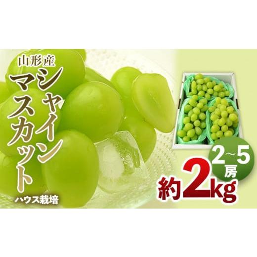 ふるさと納税 ぶどう マスカット 山形県 山形市 ハウス栽培 山形のシャインマスカット 秀品 約2kg(2〜5房) 令和8年産先行予約 FS24-640 くだもの 果物 フルー…