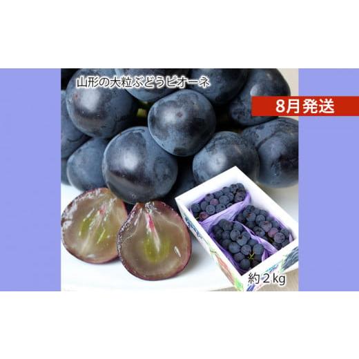 ふるさと納税 ぶどう 山形県 山形市 山形のぶどう ピオーネ 秀品 約2kg(2〜5房) 8月発送 令和8年産先行予約 FS24-650 くだもの 果物 フルーツ 山形 山形県 山…