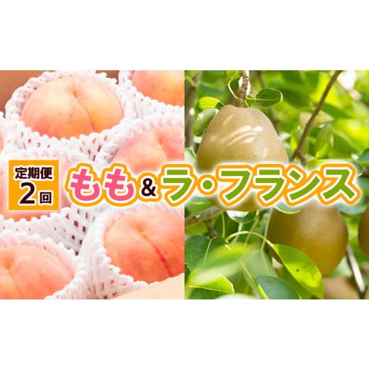 ふるさと納税 もも 山形県 山形市 定期便2回 山形の もも&ラ・フランス 令和8年産先行予約 FU23-797 くだもの 果物 フルーツ 山形 山形県 山形市 2026年産