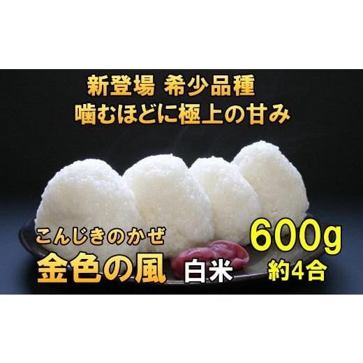 ふるさと納税 米 岩手県 奥州市 新米 新登場の高級米 令和7年産 岩手県奥州市産 金色の風 白米 600g 7日以内発送 おこめ ごはん ブランド米 AC023 白米600g