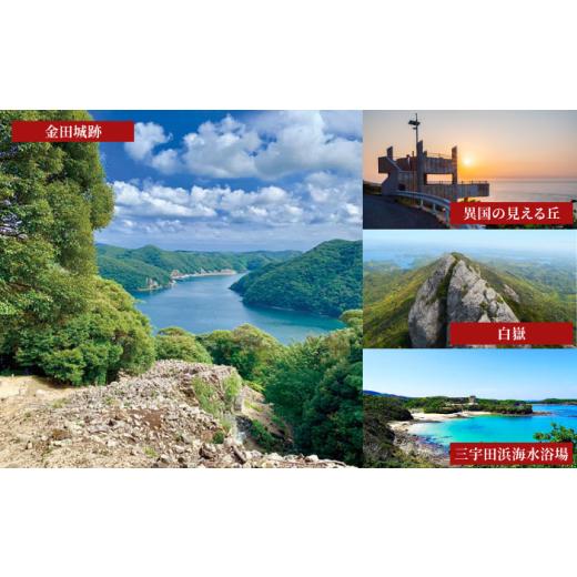 ふるさと納税 日本酒 純米酒 長崎県 対馬市  全3回定期便 金賞受賞 白嶽 純米酒 つしま 15度 720ml 2本セット《対馬市》 株式会社サイキ 対馬 酒 贈り物 日本…の画像
