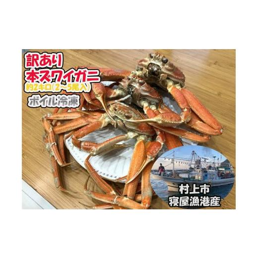 ふるさと納税 カニ ずわいガニ 新潟県 村上市 訳あり 本ズワイガニ 約2kg(2〜6尾入) 新潟県村上市寝屋漁港産 数量・期間限定 1079001