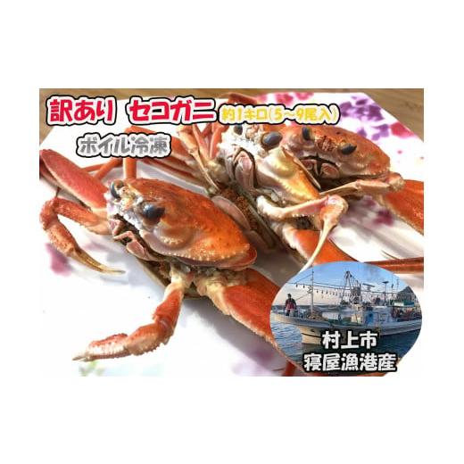 ふるさと納税 カニ ずわいガニ 新潟県 村上市 訳あり セコガニ 約1kg(5〜9尾入) 新潟県村上市寝屋漁港産 数量・期間限定