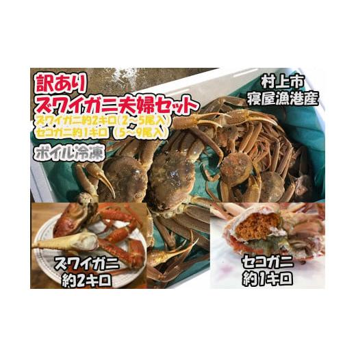 ふるさと納税 カニ ずわいガニ 新潟県 村上市 訳あり 本ズワイガニ夫婦セット 約3kg (雄 約2kg+セコガニ(雌) 約1kg) 新潟県村上市寝屋漁港産 数量・期間…