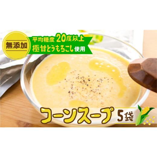 ふるさと納税 加工品等 レトルト 愛知県 田原市 通常お届け 極甘とうもろこし100%使用 無添加 極旨コーンスープの素 通常お届け