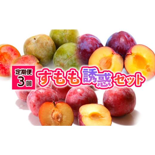 ふるさと納税 果物類 山形県 山形市 定期便3回 すもも誘惑セット 令和8年産先行予約 FS24-508 くだもの 果物 フルーツ 山形 山形県 山形市 2026年産