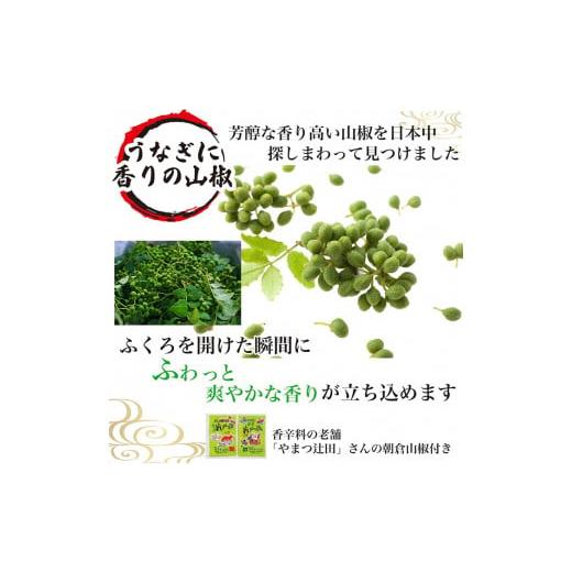 ふるさと納税 うなぎ 茨城県 古河市 熨斗なし うなぎ蒲焼6人前（1人前約160g×6）贈答用パッケージ｜お取り寄せ グルメ 国産 鰻 お歳暮 御歳暮_AT12 熨斗なし_6