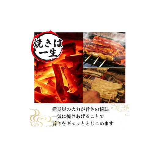 ふるさと納税 うなぎ 茨城県 古河市 熨斗なし うなぎ蒲焼6人前（1人前約160g×6）贈答用パッケージ｜お取り寄せ グルメ 国産 鰻 お歳暮 御歳暮_AT12 熨斗なし_7