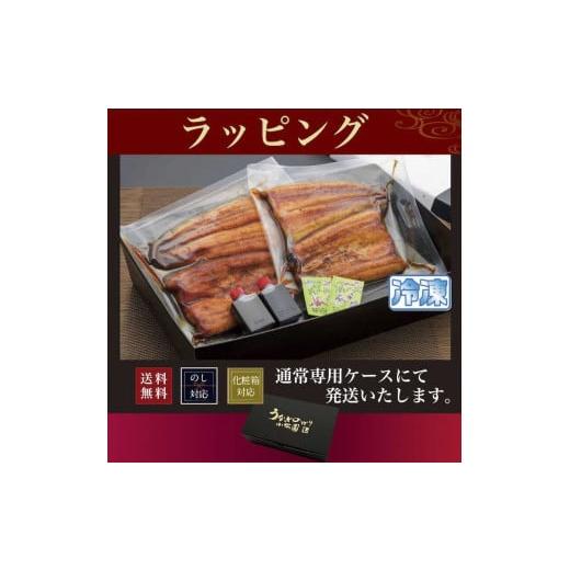 ふるさと納税 うなぎ 茨城県 古河市 熨斗なし うなぎ蒲焼6人前（1人前約160g×6）贈答用パッケージ｜お取り寄せ グルメ 国産 鰻 お歳暮 御歳暮_AT12 熨斗なし_8