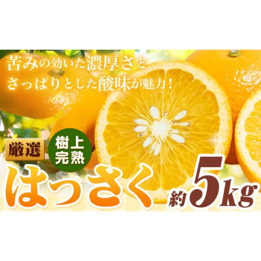 ふるさと納税 みかん・柑橘類 和歌山県 日高町 厳選 樹上完熟 はっさく 八朔 みかん 5kg+250g 傷み補償分 池田鹿蔵農園 @日高町[4月上旬-5月末頃出荷]和歌…