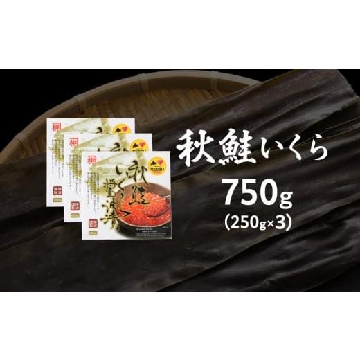 ふるさと納税 いくら 北海道 稚内市  宗谷海峡産 秋鮭いくら醤油漬け250g×3_ いくら イクラ 魚卵 海鮮 魚介 秋鮭 醤油漬け 鮭 小分け 便利 250g 北海道 国産 …の画像