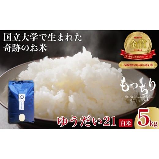 ふるさと納税 米 コシヒカリ 茨城県 常陸太田市 白米 5kg ゆうだい21 食味コンクール最高賞 品評会を席巻した奇跡のお米 | 常陸の瞳 ブランド米 宇都宮大学 GA…