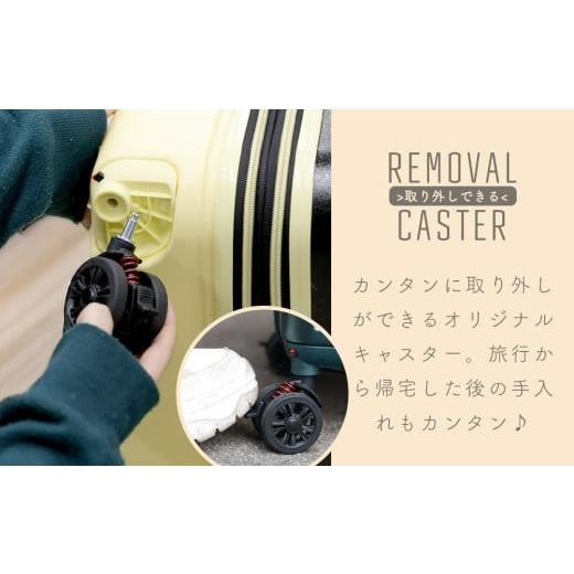 ふるさと納税 カバン 福岡県 大木町 PROEVO ファスナーキャリー スーツケース 機内持ち込み LCC対応 100席未満 SSサイズ(エンボス／アイボリー) 10001S AY282…