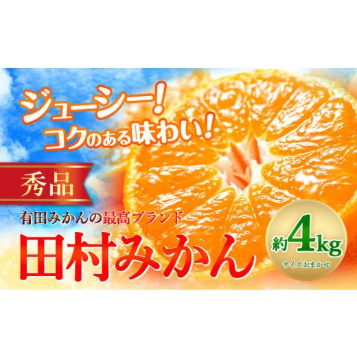 ふるさと納税 果物類 みかん 和歌山県 日高町 先行予約 みかん 田村 みかん 秀品 4kg サイズ指定なし 株式会社とち亀物産[11月下旬-1月中旬頃出荷]和歌山県…