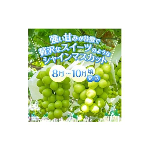 ふるさと納税 山梨県 甲州市 【定期便】旬のフルーツ3回便（桃・巨峰・シャインマスカット）（HK）D4-440 【山梨県 フルーツ 定期便 シャインマスカット 果物 …｜furusatochoice｜06