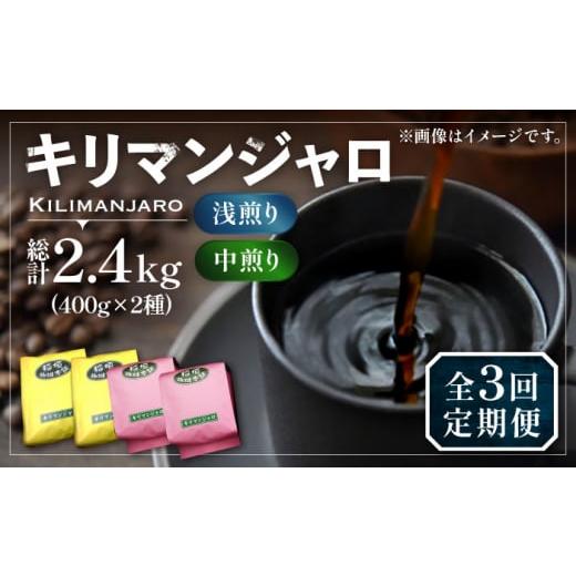 ふるさと納税 コーヒー コーヒー豆 福岡県 豊前市 豆でお届け 全3回定期便 キリマンジャロ コーヒー 2種 ( 浅煎り フルーツフレーバー & 中煎り チョコレー…
