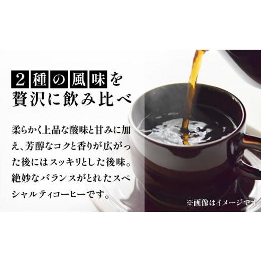 ふるさと納税 コーヒー コーヒー豆 福岡県 豊前市  豆でお届け 全6回定期便 ギフト用 キリマンジャロ ギフト セット 200g×4《豊前市》 稲垣珈琲 珈琲 コーヒ…の画像