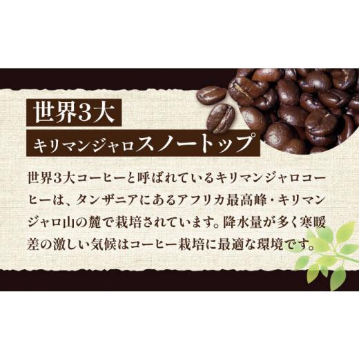 ふるさと納税 コーヒー コーヒー豆 福岡県 豊前市  豆でお届け 全6回定期便 ギフト用 キリマンジャロ ギフト セット 200g×4《豊前市》 稲垣珈琲 珈琲 コーヒ…の画像
