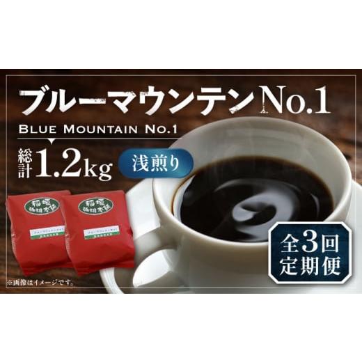 ふるさと納税 福岡県 豊前市 [粉でお届け][全3回定期便]ブルーマウンテン NO.1 コーヒー ( 浅煎り ) [豊前市][稲垣珈琲] 珈琲 コーヒー 豆 粉 [VAS149…