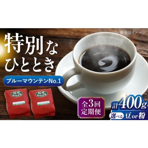 ふるさと納税 コーヒー コーヒー豆 福岡県 豊前市  粉でお届け 全3回定期便 ブルーマウンテン NO.1 コーヒー ( 浅煎り )《豊前市》 稲垣珈琲 珈琲 コーヒー 豆…の画像