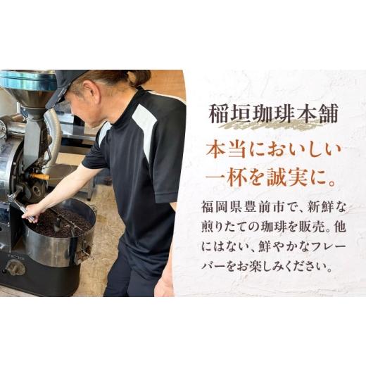 ふるさと納税 コーヒー コーヒー豆 福岡県 豊前市  粉でお届け 全3回定期便 ブルーマウンテン NO.1 コーヒー ( 浅煎り )《豊前市》 稲垣珈琲 珈琲 コーヒー 豆…の画像