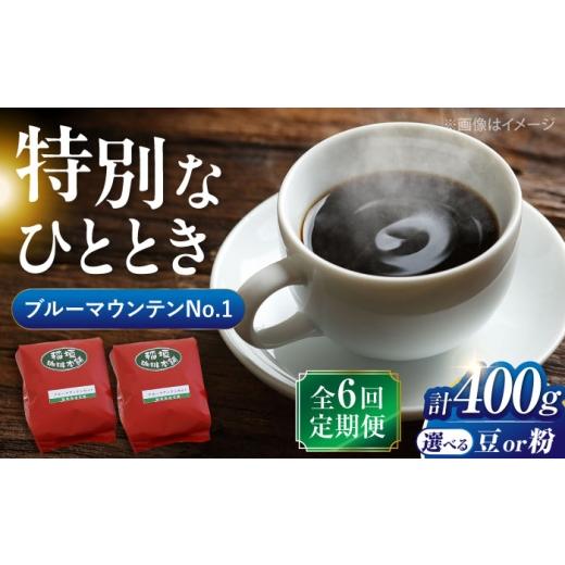 ふるさと納税 コーヒー コーヒー豆 福岡県 豊前市 豆でお届け 全6回定期便 ブルーマウンテン NO.1 コーヒー 浅煎り [豊前市] 稲垣珈琲 VAS150 珈琲 こーひ…