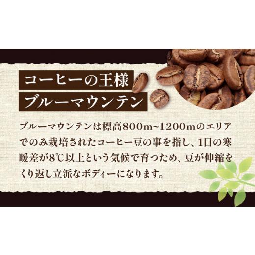 ふるさと納税 コーヒー コーヒー豆 福岡県 豊前市  粉でお届け 全6回定期便 ブルーマウンテン NO.1 ブレンド コーヒー ( 浅煎り )《豊前市》 稲垣珈琲 珈琲 コ…の画像