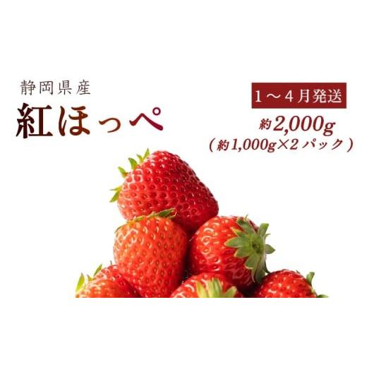 ふるさと納税 いちご 静岡県 牧之原市 1~4月発送 紅ほっぺ 2000g以上 いちご 1000g×2パック イチゴ 冷蔵発送 苺 2kg 土耕栽培 フルーツ 果物 スイーツ デザ…