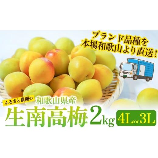 ふるさと納税 果物類 和歌山県 日高町 紀州熟南高梅 約2kg 3Lまたは4Lサイズ ふるさと農園[2026年6月上旬-6月中旬頃出荷予定]和歌山県 日高町 梅 うめ 果物 …