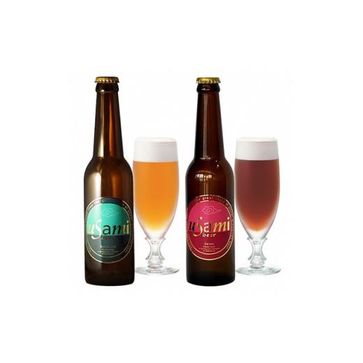 ふるさと納税 ビール 地ビール 静岡県 伊東市 USAMI　BEER　2種×15(30本)セット 1016576_1